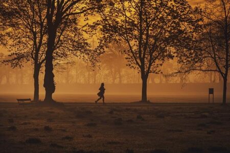 Unforgettable Running Triumphs of 2024: A Celebration of Speed and Endurance!