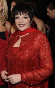 The complex period of Liza Minnelli’s life in the 1970s