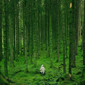 Unveiling the Mystery Behind the Elusive Illusory