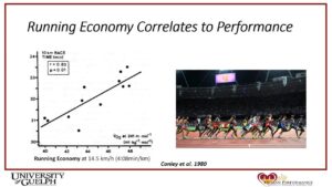 Revamping Your Running Economy: Essential Tips for Trail and Ultrarunners