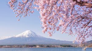 Japan vs Wales preview, kick-off time, team news & how to follow – BBC