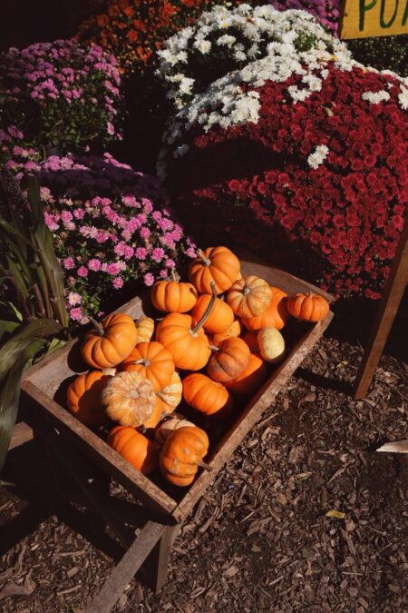 Embrace Fall Fashion: Vondrousova Stuns in Yonex’s Newest Summer Collection at the US Open! Embrace Fall Fashion: Vondrousova Stuns in Yonex’s Newest Summer Collection at the US Open!