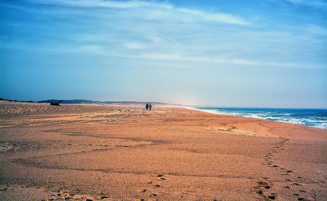 Andrew Moloney’s Singular Goal: Seizing the Moment to Make It Reality