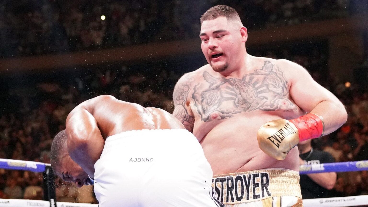 The 10 Greatest Heavyweight Boxers of All Time: Has Usyk Claimed His Spot Among Them?