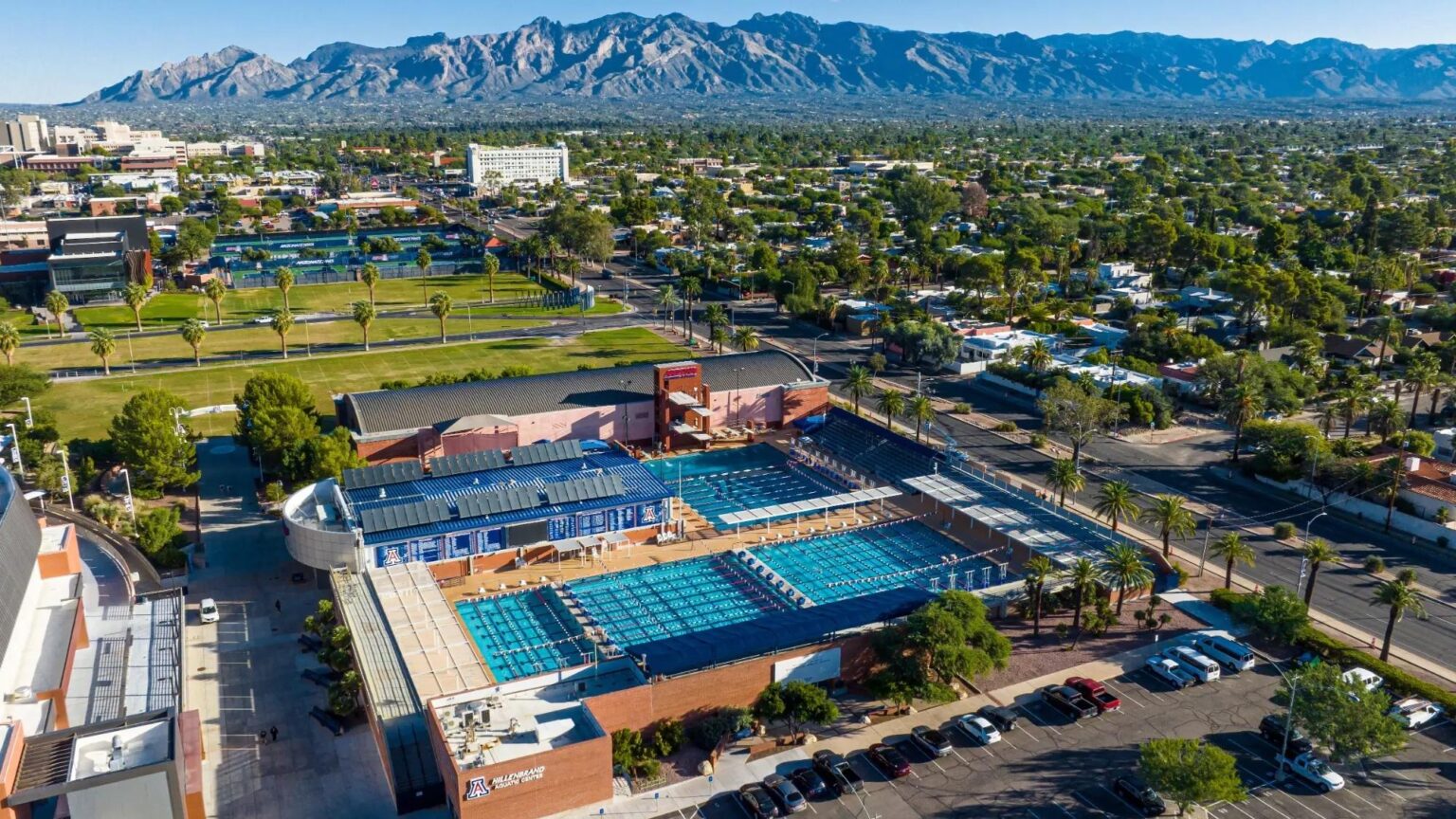 Wildcat Wrap: Arizona Swimming and Diving Makes Exciting Addition with Former Texas A&M Coach Jay Holmes