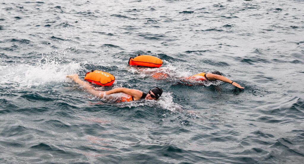 Dive Into Adventure: 3 Unforgettable Open Water Swims in the Florida Keys Dive Into Adventure: 3 Unforgettable Open Water Swims in the Florida Keys