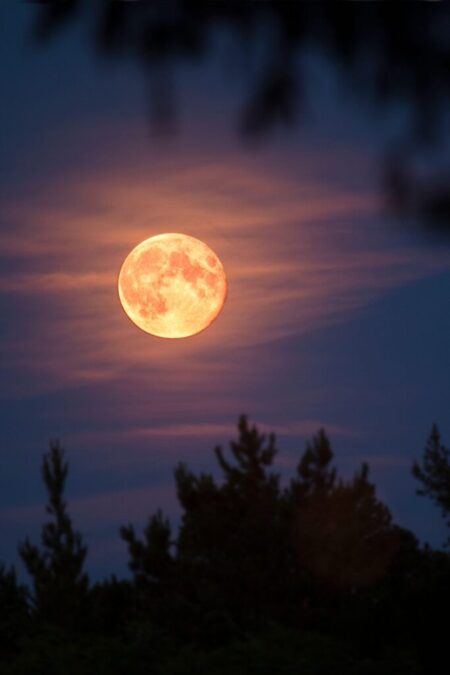 Moon and Parkinson-Lubold Soar to Victory at ACU Invite!