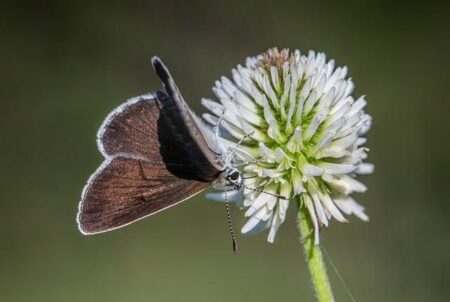 Katie Taylor vs Amanda Serrano: Fight Night Preview, Start Time, and Live Viewing Guide Katie Taylor vs Amanda Serrano: Fight Night Preview, Start Time, and Live Viewing Guide