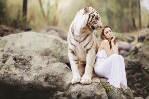 Watch Leicester Tigers vs Bath Rugby Live for Free: Your Ultimate Guide to Streaming Today’s PREM Match