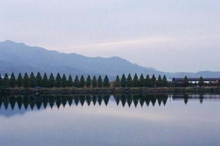 Wake Forest’s Ketchum and Kovelesky Shine on Prestigious Fall ANNIKA Award Watchlist