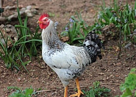 Why the Wizards’ Current Roster Isn’t Built for Championship Glory Why the Wizards’ Current Roster Isn’t Built for Championship Glory