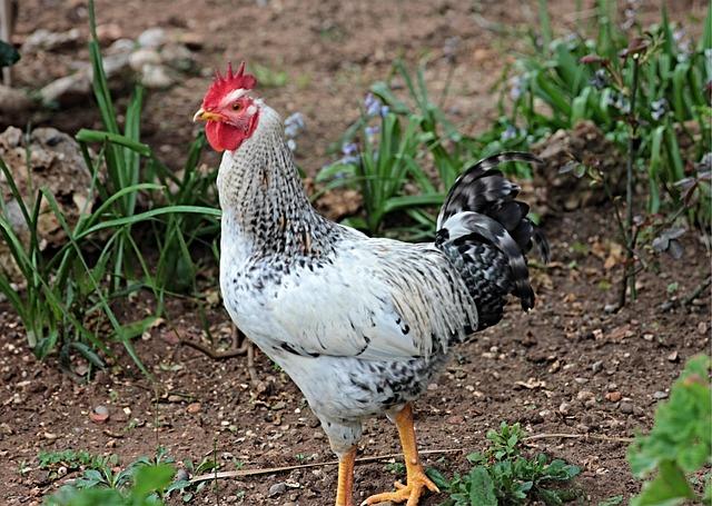 Why the Wizards’ Current Roster Isn’t Built for Championship Glory Why the Wizards’ Current Roster Isn’t Built for Championship Glory