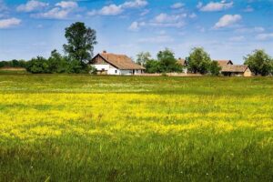 Tanya Oxtoby Appointed as Newcastle United Women’s New Manager