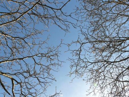 Copa Libertadores Final Suspended Once More: Boca vs River Showdown Delayed