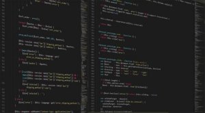 Van Empel Aims High: Ambitious Growth Goals Set for 2025 After a Year of Valuable Lessons