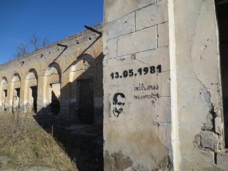 Merab Dvalishvili Shares His Inspiring Journey to Achieving the American Dream Merab Dvalishvili Shares His Inspiring Journey to Achieving the American Dream