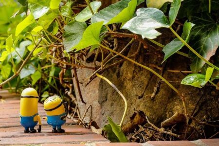 Kevin Vallejos Takes on a Career-Defining Battle Against Giga Chikadze Kevin Vallejos Takes on a Career-Defining Battle Against Giga Chikadze