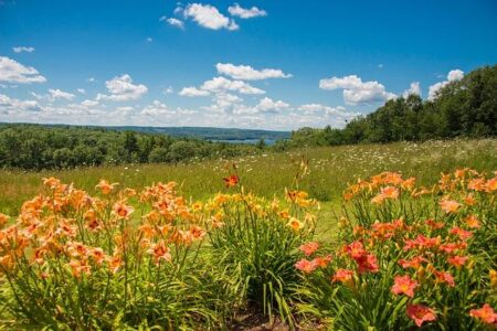 Worcester Strengthens Squad with Exciting Signing of Former Exeter Centre Hendrickson Worcester Strengthens Squad with Exciting Signing of Former Exeter Centre Hendrickson