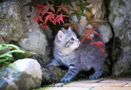 You can not blame players for leaving – Hook You can not blame players for leaving – Hook