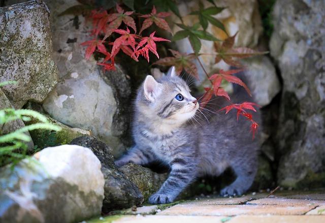 You can not blame players for leaving – Hook You can not blame players for leaving – Hook