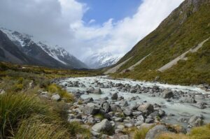 Hooker Adejimi joins Newcastle on loan