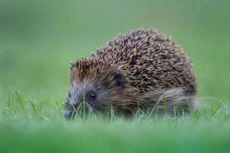 Spurs Crush Wizards 119-94: Thrilling Highlights and Reactions Spurs Crush Wizards 119-94: Thrilling Highlights and Reactions