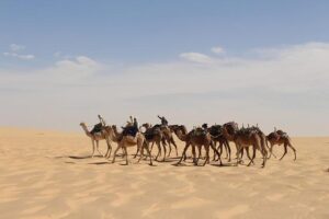 Chad le Clos Makes a Splash with His Triumphant Return at the Midmar Mile Charity Swim