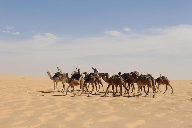 Chad le Clos Makes a Splash with His Triumphant Return at the Midmar Mile Charity Swim
