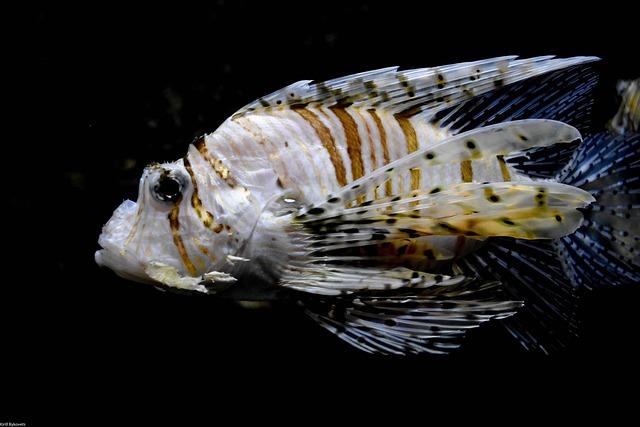 Unlock Perfect Swimming Balance and Body Position with This Proven Technique