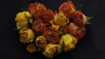 Women’s Tennis Tops Preseason WCC Poll: Grechkina and Harmon Shine on All-Preseason Team! Women’s Tennis Tops Preseason WCC Poll: Grechkina and Harmon Shine on All-Preseason Team!