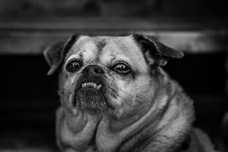 Hong Kong QF previews and predictions: Musetti vs. Wong, Bublik vs. Shang Hong Kong QF previews and predictions: Musetti vs. Wong, Bublik vs. Shang