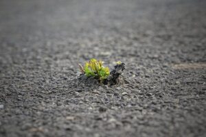 Tar Heels Dominate ACC Women’s Tennis with Weekly Honors Sweep!