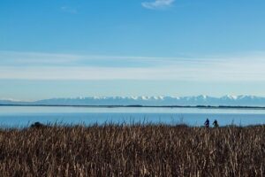 New Zealander Seizes Command with Thrilling Sprint Victory on Stage 1 of Women’s Tour Down Under