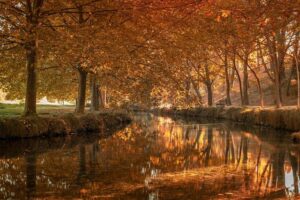 Nadine De Klerk and Grace Harris Shine as RCB Crush UP Warriorz to Reach WPL 2026 Final