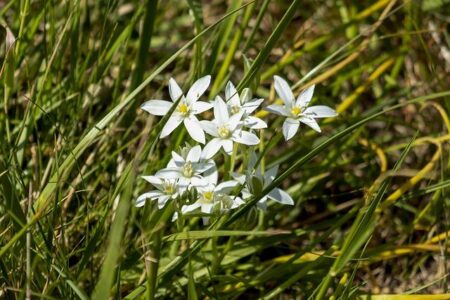 Justin Gaethje Silences Doubters with Another Jaw-Dropping Underdog Victory