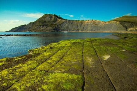 Poole’s Two-Try Masterclass Intensifies Sheffield’s Woes