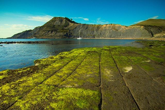 Poole’s Two-Try Masterclass Intensifies Sheffield’s Woes Poole’s Two-Try Masterclass Intensifies Sheffield’s Woes