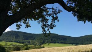 Michael Owen Unveils Unexpected Zinedine Zidane Insight Amid Manchester United Rumors