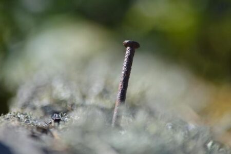 Inside Theo Hernandez’s Earnings: How Much AC Milan’s Star Makes Weekly and Annually Inside Theo Hernandez’s Earnings: How Much AC Milan’s Star Makes Weekly and Annually