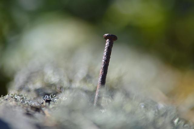 Inside Theo Hernandez’s Earnings: How Much AC Milan’s Star Makes Weekly and Annually Inside Theo Hernandez’s Earnings: How Much AC Milan’s Star Makes Weekly and Annually