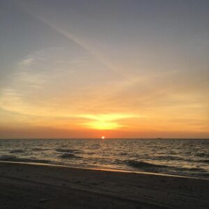 Phoenix Suns vs. Washington Wizards: Thrilling Game Highlights and Stunning Photos