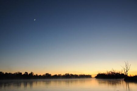 Jamal Murray Ignites the Court with 42 Points to Lead Nuggets Over Wizards