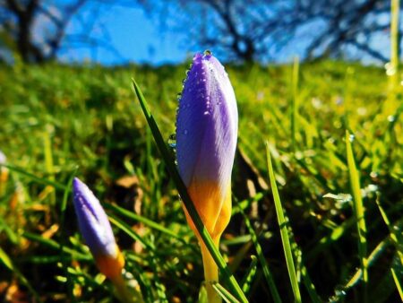 Bailey and Sensabaugh Shine Despite Utah Jazz Falling to Warriors Bailey and Sensabaugh Shine Despite Utah Jazz Falling to Warriors