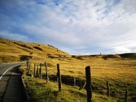Marlins Boost Their Lineup by Adding Speedster Esteury Ruiz in Trade with Dodgers Marlins Boost Their Lineup by Adding Speedster Esteury Ruiz in Trade with Dodgers