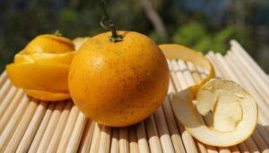 Cam McEvoy Poised to Shine Amid Olympic Champions at China Open