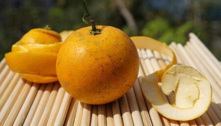 Cam McEvoy Poised to Shine Amid Olympic Champions at China Open