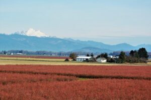 Bulldogs Gear Up for Thrilling District Meet Showdown This Friday and Saturday at La Grande