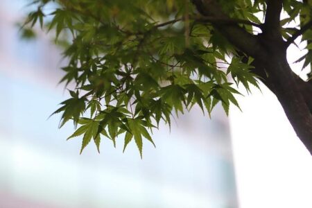 Zheng Qinwen’s Exciting Return: Get Ready for Her Comeback in Doha! Zheng Qinwen’s Exciting Return: Get Ready for Her Comeback in Doha!