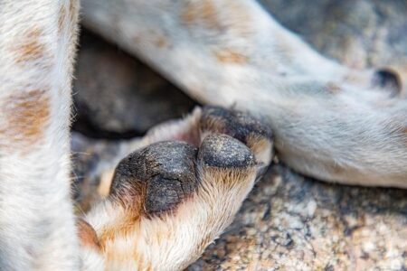 Hearn Delivers Stark Warning to Benn Following White’s Crushing Victory Over Aspinall Hearn Delivers Stark Warning to Benn Following White’s Crushing Victory Over Aspinall