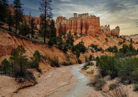 Pakistan vs USA T20 World Cup 2026: Your Ultimate Guide to Live Streaming and Telecast Details